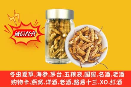 东安区回收散虫草