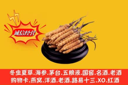 东安区求购回收虫草多少钱每克
